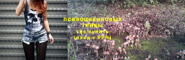 мет Алзамай