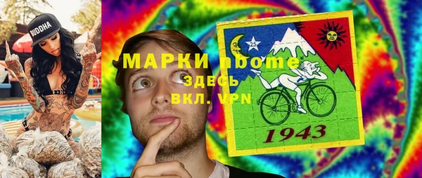 прущие грибы Новый Уренгой