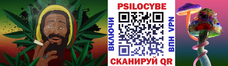 блэк спрут рабочий сайт  Яхрома  Псилоцибиновые грибы Psilocybe 